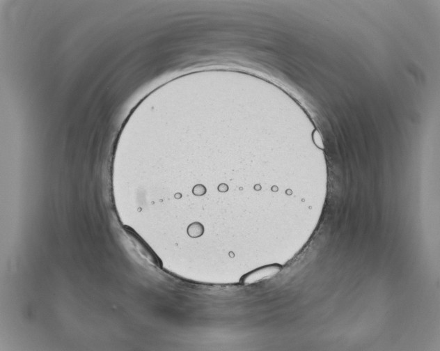 X0000111431534200908241111