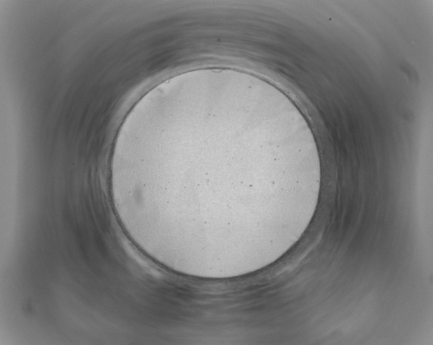 X0000111431535200908241111