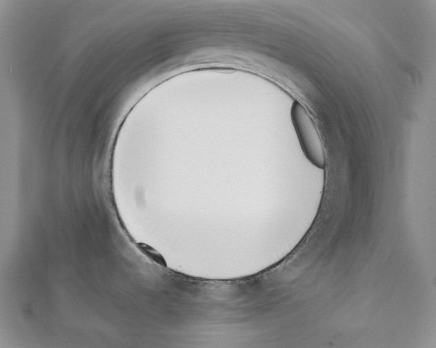 X0000111431536200908241111