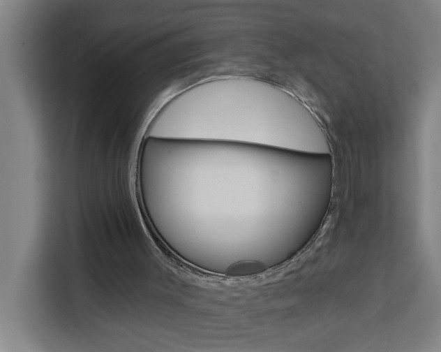 X0000111440003200907131030