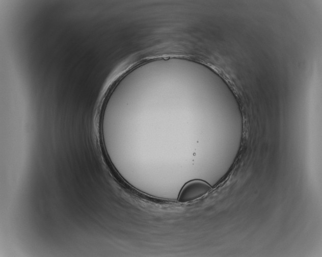 X0000111440004200907131030