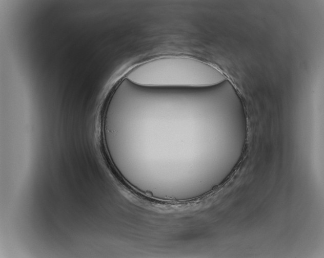 X0000111440005200907131030
