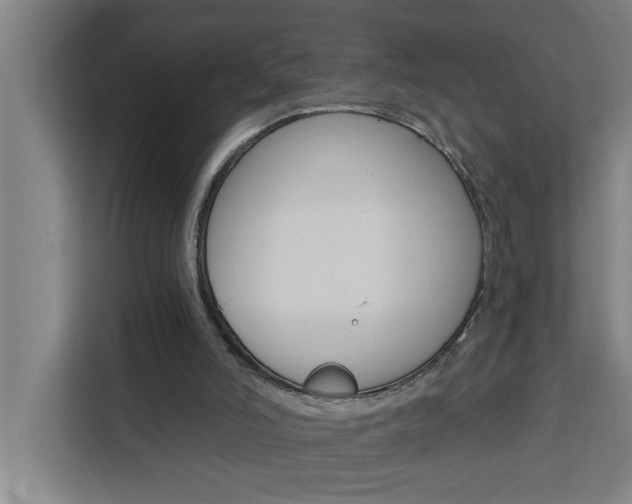 X0000111440006200907131030