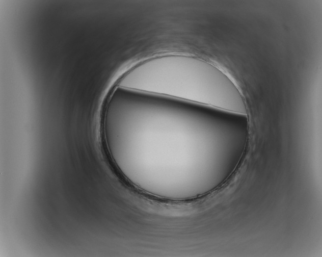 X0000111440008200907131030