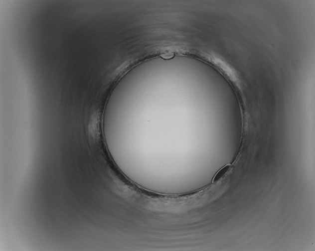X0000111440009200907131030