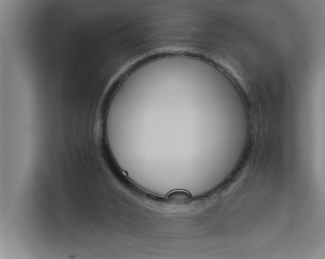 X0000111440016200907131030