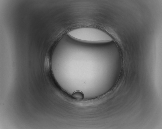 X0000111440021200907131030