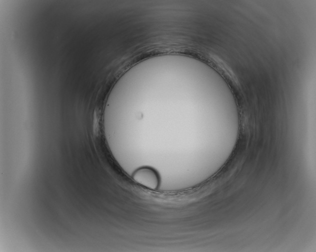 X0000111440026200907131030