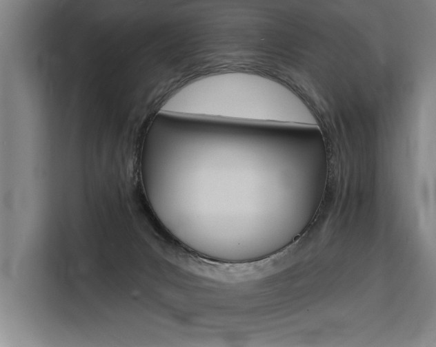 X0000111440031200907131029