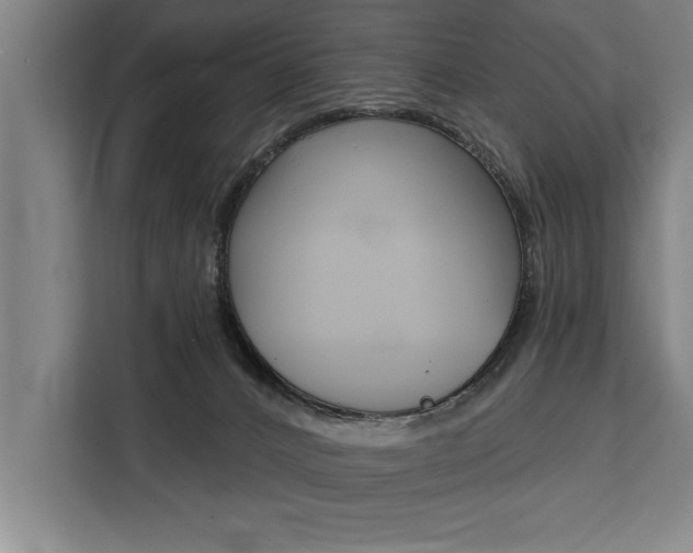 X0000111440032200907131029