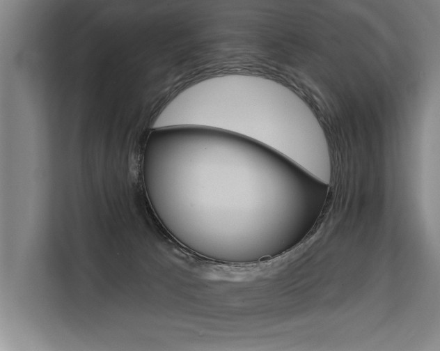 X0000111440033200907131029