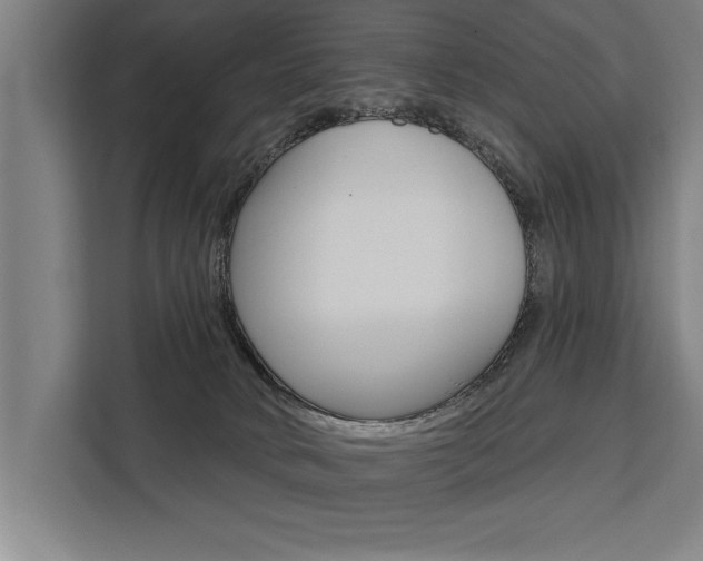 X0000111440034200907131029