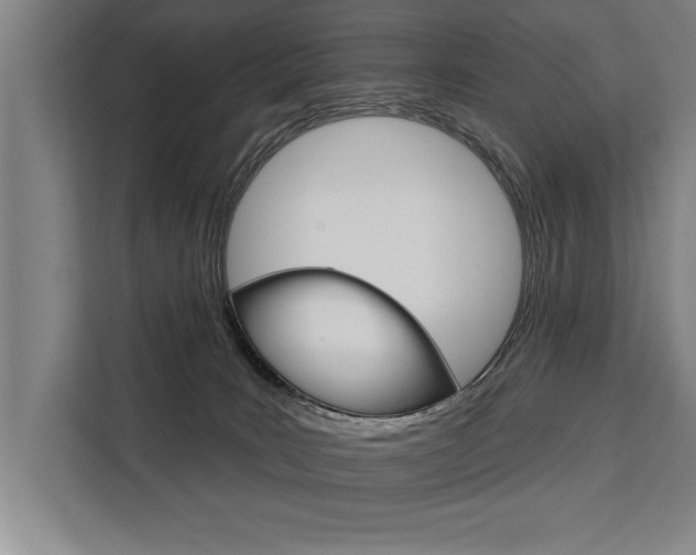 X0000111440035200907131029