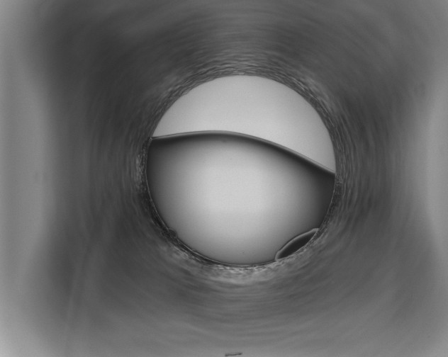 X0000111440037200907131029