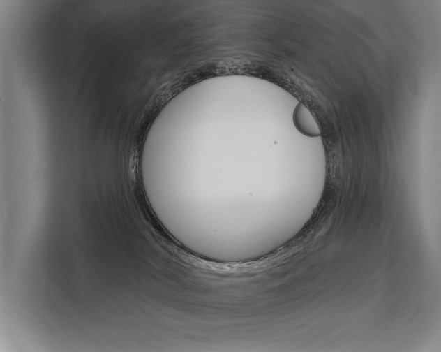 X0000111440038200907131029
