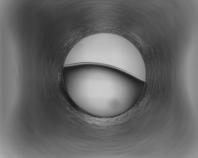 X0000111440039200907131029
