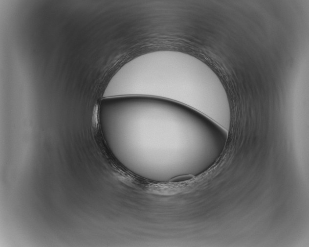 X0000111440041200907131029