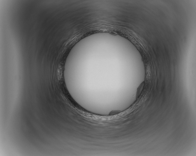 X0000111440043200907131029