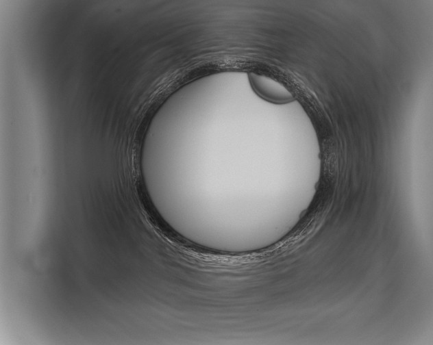 X0000111440044200907131029