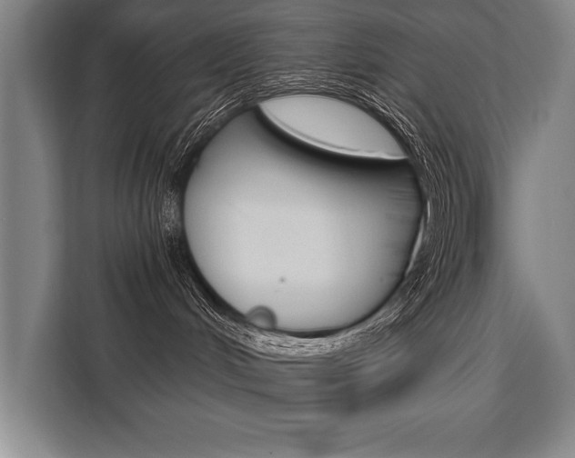 X0000111440048200907131029