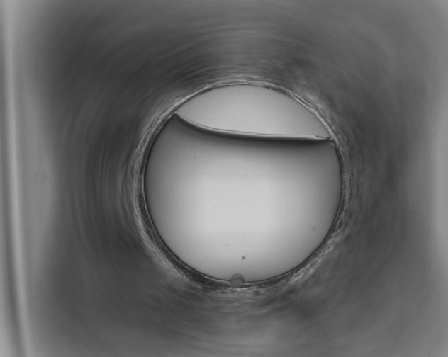X0000111440049200907131029