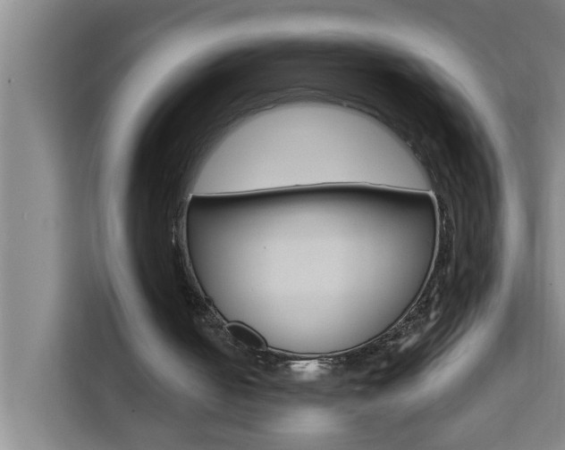 X0000111440050200907131029