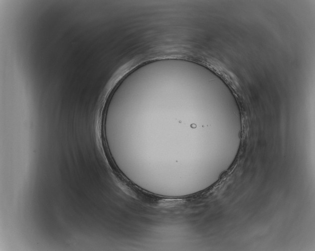 X0000111440051200907131029