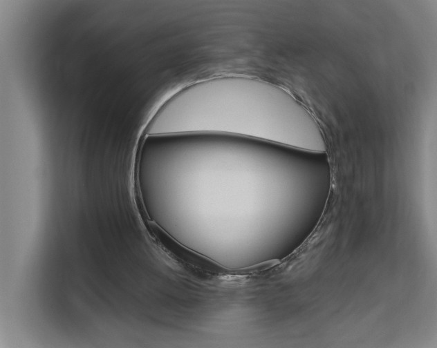X0000111440052200907131029