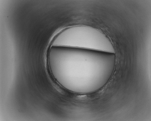 X0000111440054200907131029