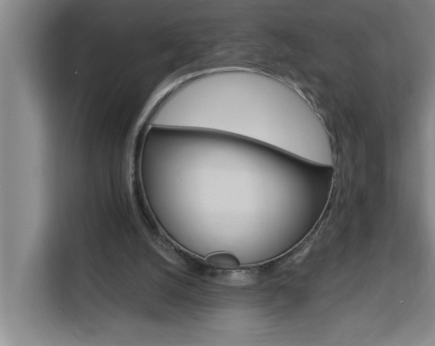 X0000111440056200907131029