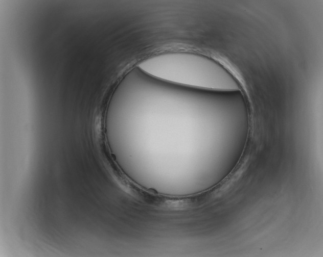 X0000111440057200907131029