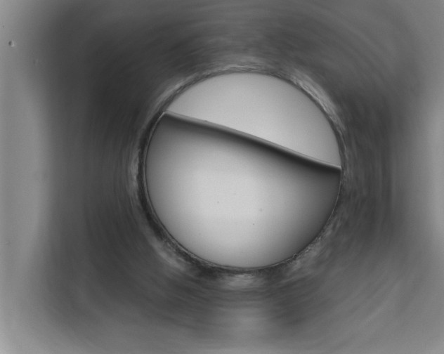 X0000111440058200907131029