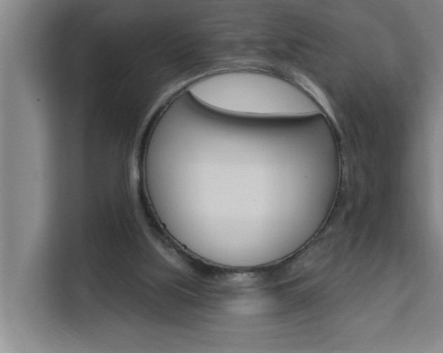 X0000111440059200907131029