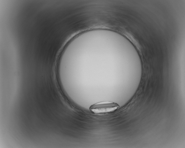 X0000111440060200907131029