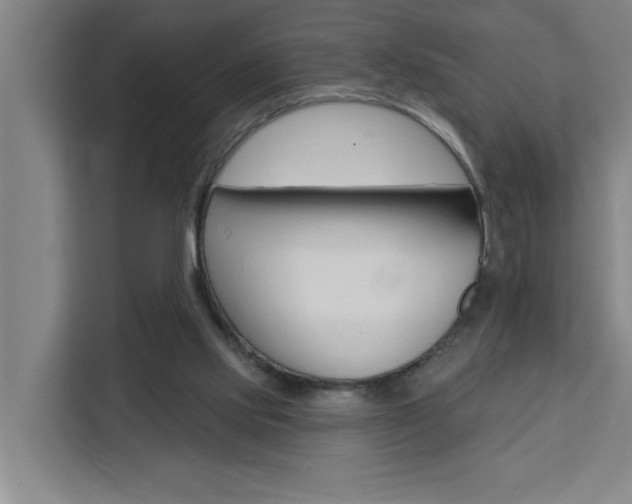 X0000111440061200907131029