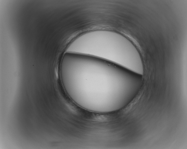 X0000111440062200907131029