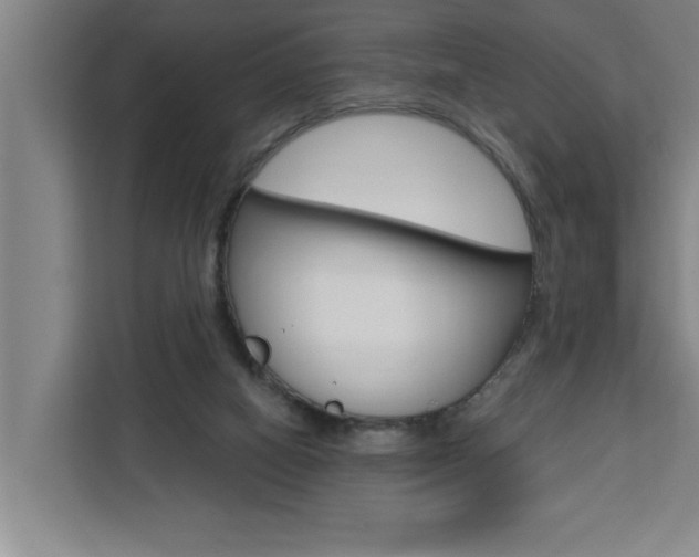 X0000111440066200907131029