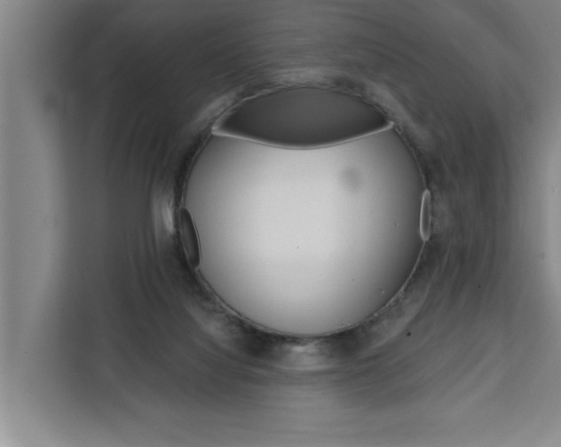 X0000111440068200907131029
