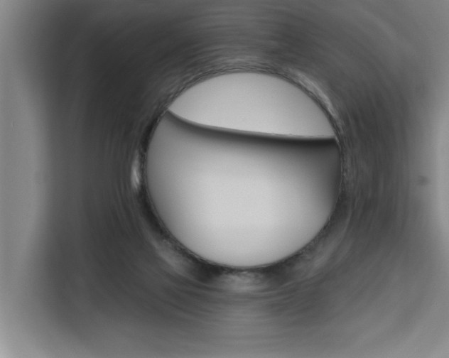 X0000111440069200907131029
