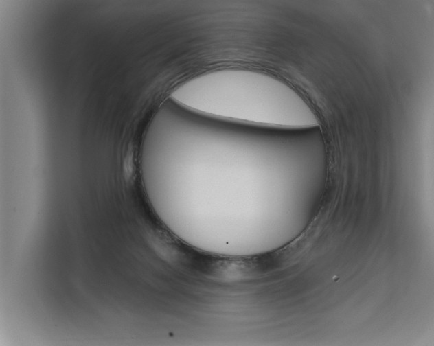 X0000111440074200907131029