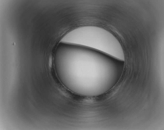 X0000111440076200907131029
