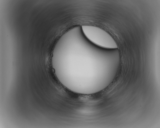 X0000111440079200907131029