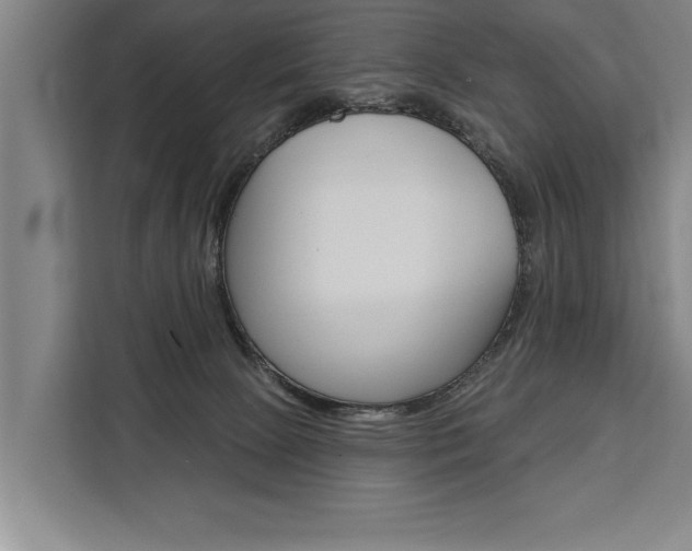 X0000111440081200907131029