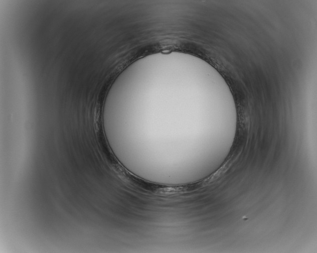 X0000111440082200907131029