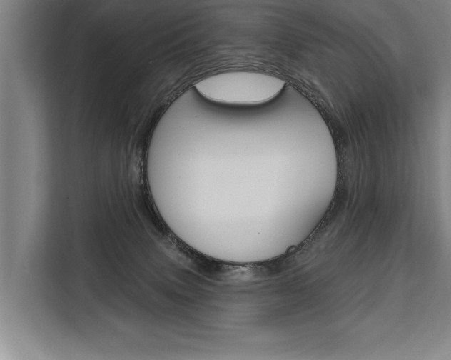 X0000111440083200907131029