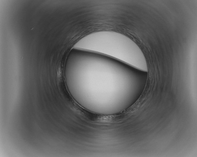 X0000111440084200907131029