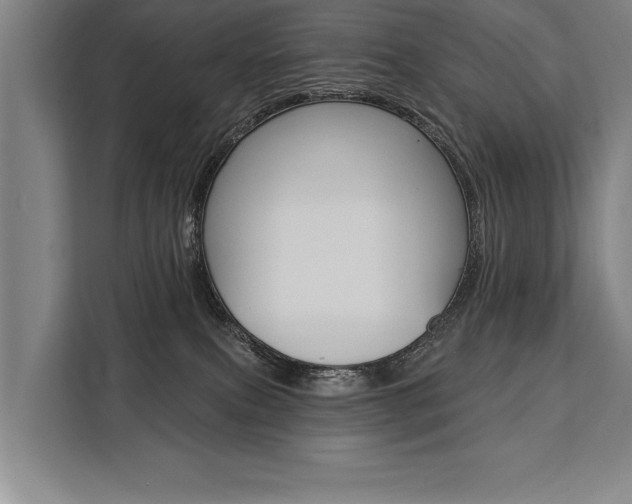 X0000111440087200907131029