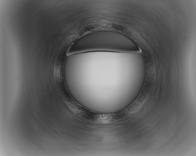 X0000111440088200907131029