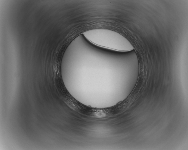 X0000111440091200907131029
