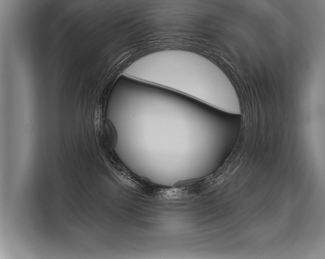 X0000111440092200907131029